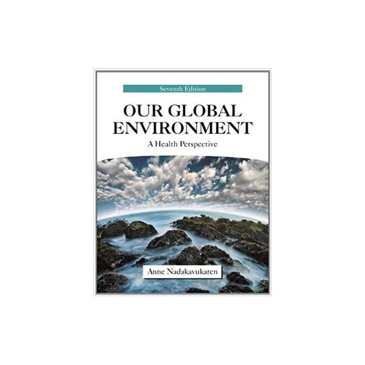 OUR GLOBAL ENVIRONMENT