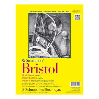 Bristol vellum surface 20 sheets 11" x 14"