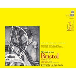 Bristol Vellum Surface 20 sheets 19" x 24"