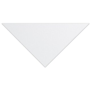 Bristol Plate Art Board 16X20 in.