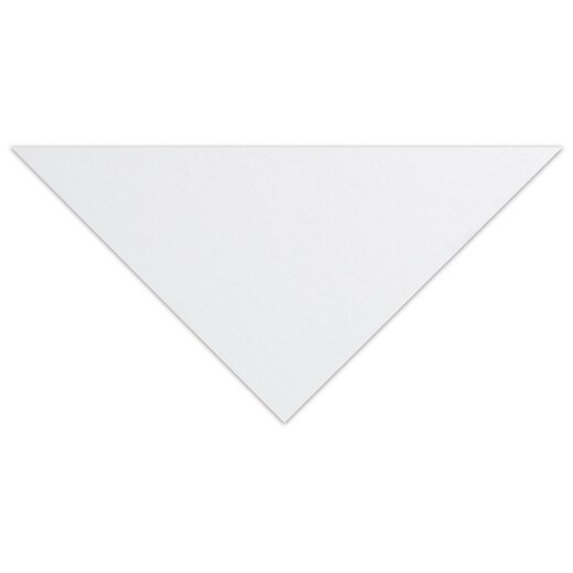 Bristol Plate Art Board 16X20 in.