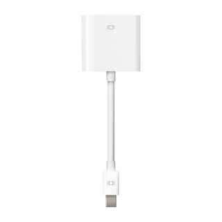 Apple Mini Display Port-DVI