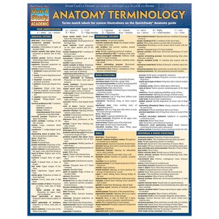 Barcharts Anatomy Terminology
