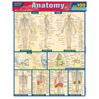 Barcharts Anatomy