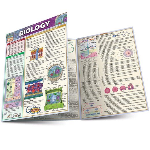 Barcharts Biology - Inside
