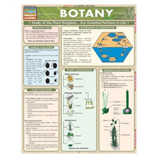Barcharts Botany