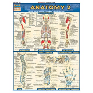 Barcharts Anatomy 2