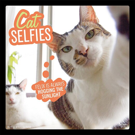 Cat Selfies 2022 Wall Calendar